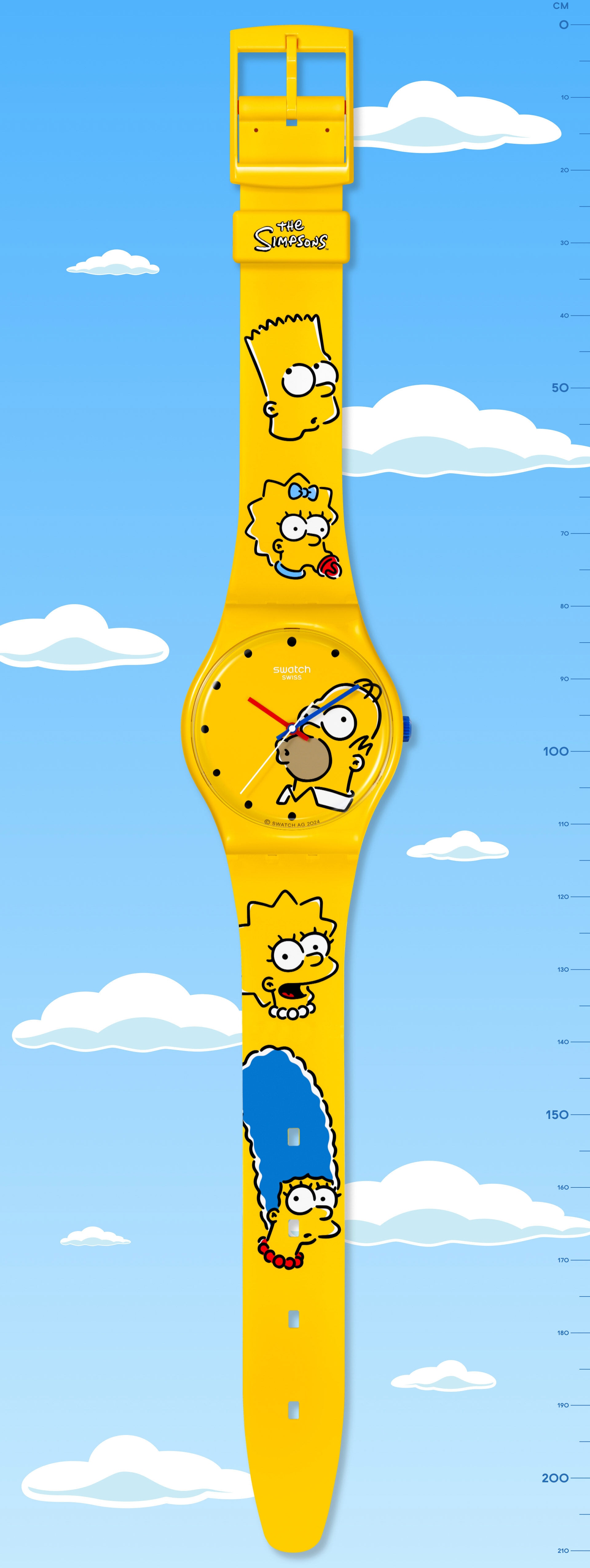 THE SIMPSON FAMILY MAXI